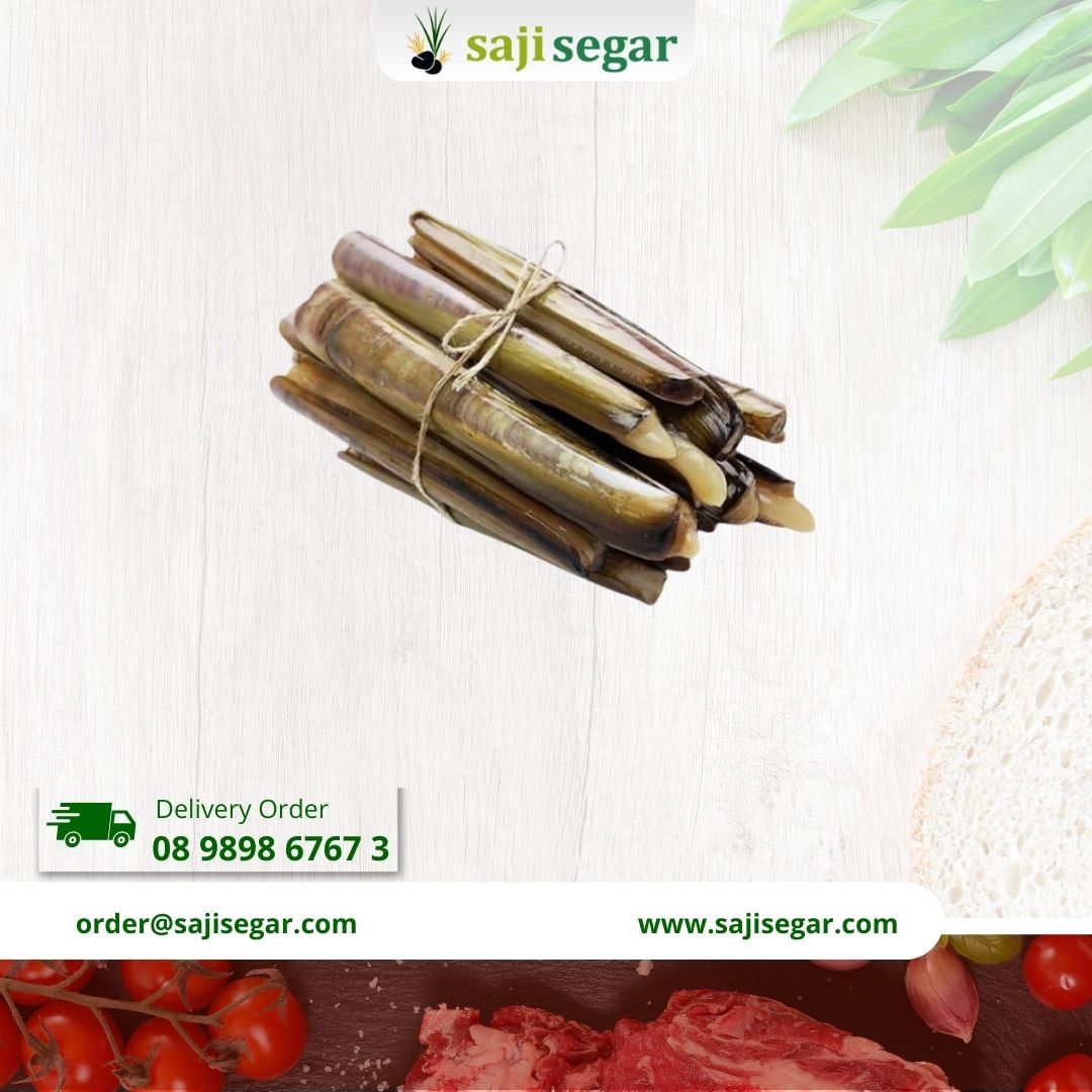 Kerang Bambu Fresh 1Kg / Kerang Bambu Segar / Seafood